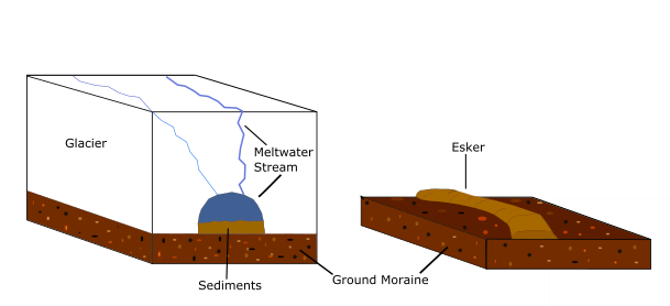 Subglacial meltwater deposits sediment beneath a glacier, forming a winding esker after ice retreat.