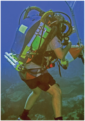 A scuba diver