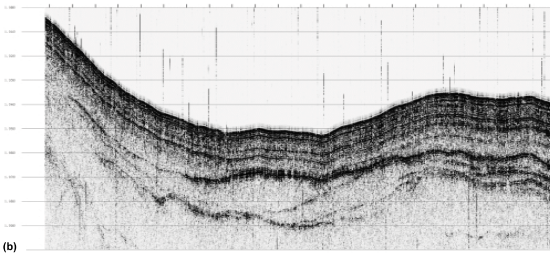 A black and white image in which darker lines show layers that undulate horizontally.