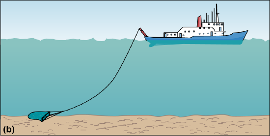 A flattened net on a cable is being pulled across the seafloor by a ship.