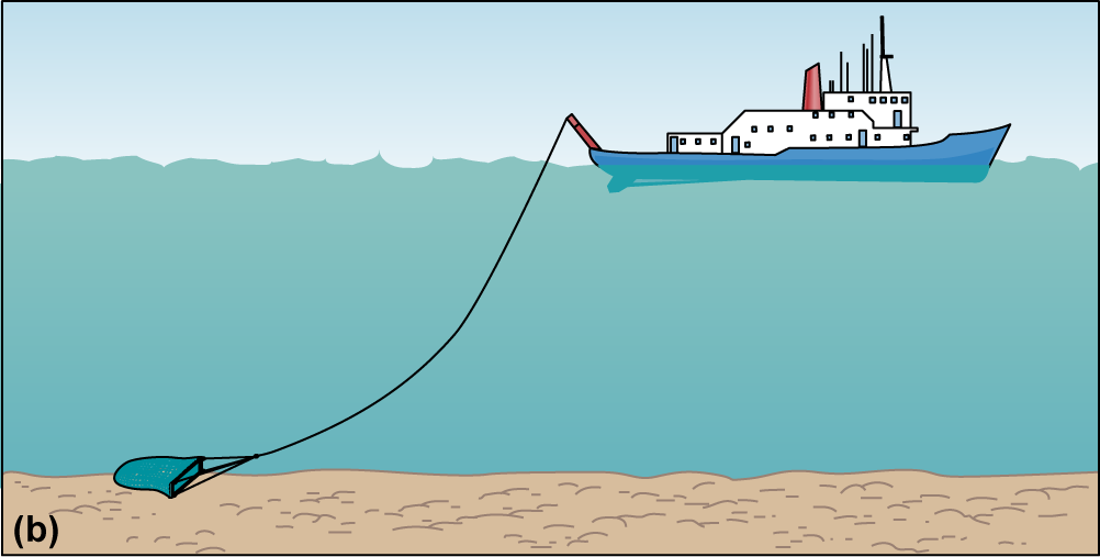 A flattened net on a cable is being pulled across the seafloor by a ship.