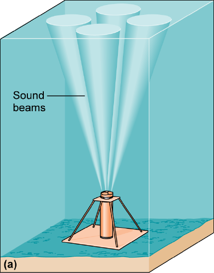 An apparatus on the seafloor emitting sound beams upward.