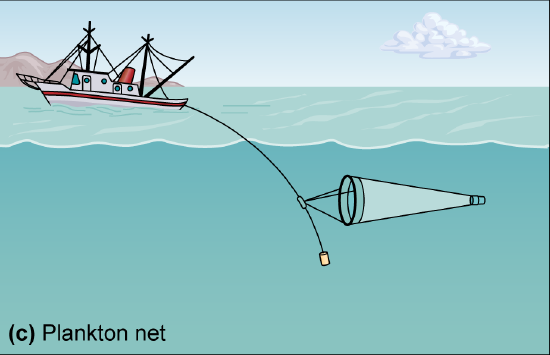 A small cone-shaped net.