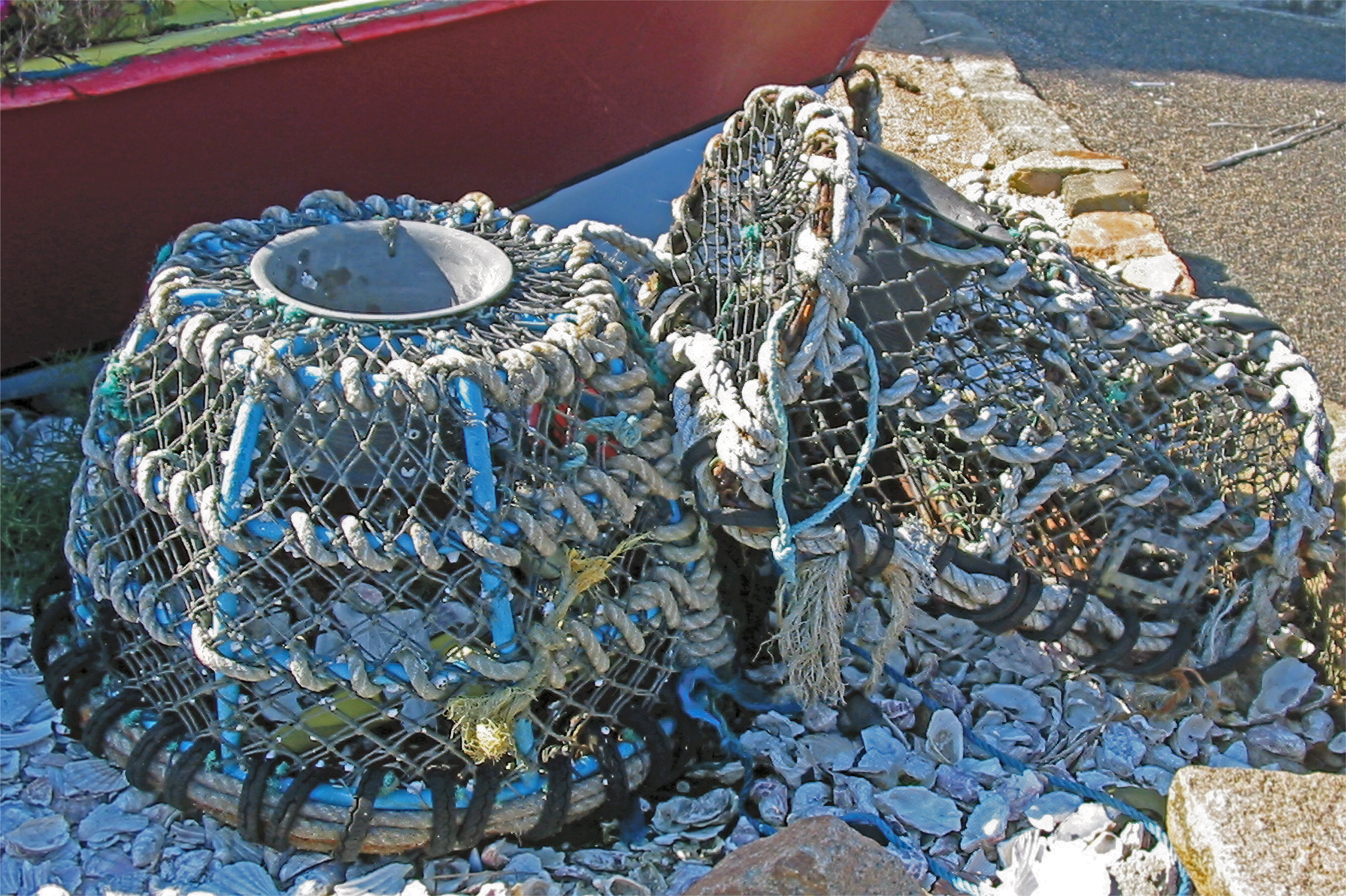 Two metal and rope traps on top of oyster shells.