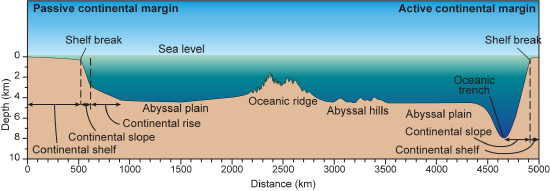 Diagram showing the variation in seafloor height