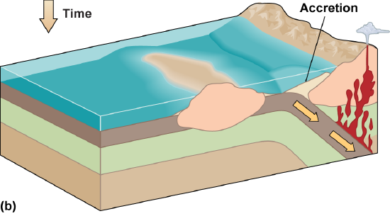 Diagram of thin crust going under thicker crust with volcanoes on the right. Sediment builds up at the boundary, and the area of land moved toward the boundary