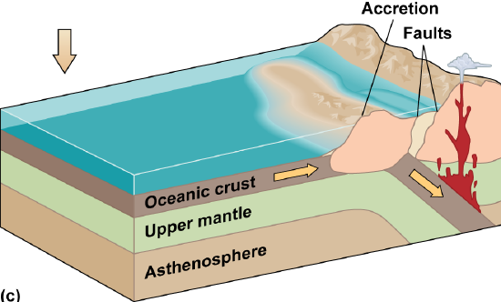 Diagram of thin crust going under thicker crust with volcanoes on the right. The sediment and area of land ran into the continent at the boundary.