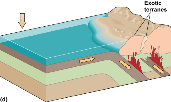 The thin crust broke off and a new boundary formed to the left, offshore of the new thicker crust