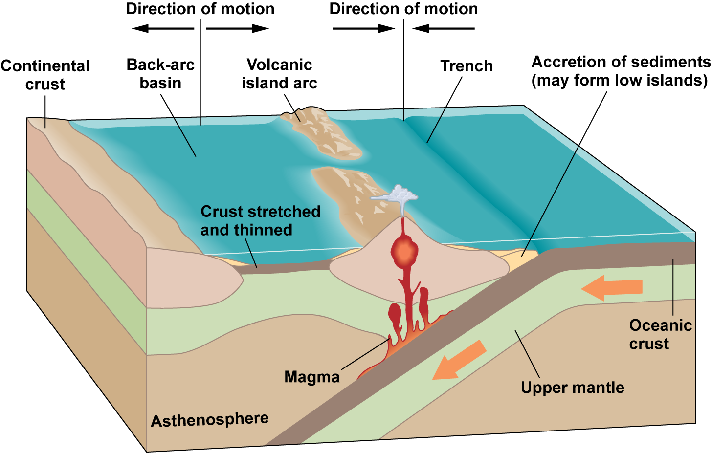 Diagram of thin crust on the right pushing under thin crust on the left. To the left of the boundary is a line of volcanic islands over rising magma