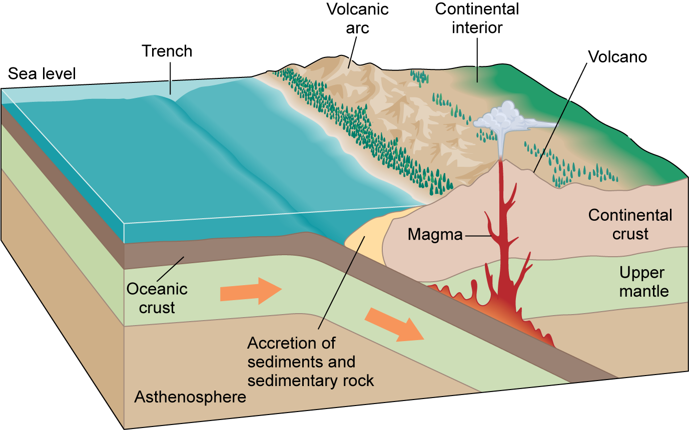 Oceanic crust pushing under continental crust with magma rising through and into mountain range