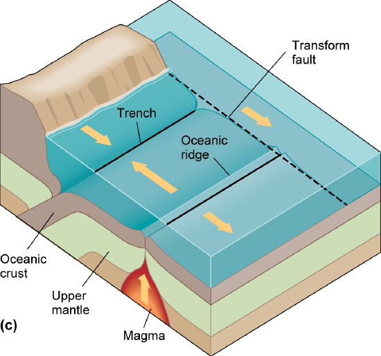 A parallel trench and oceanic ridge perpendicular to a transform fault