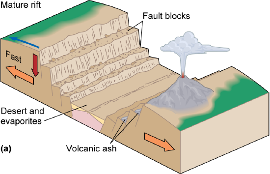 A cross-section of a large valley formed when two thick plates move apart. The near side has a volcano, and the far side has an arrow pointing down.