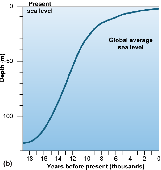 A graph from 18,000 years ago to the present showing sea level increasing rapidly and then more slowly by approximately 145 meters total.