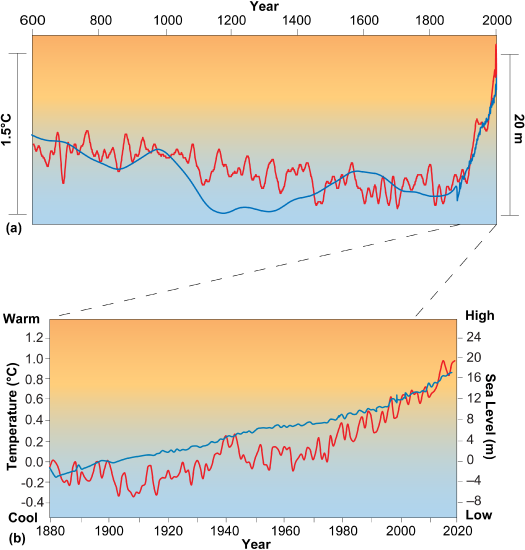 (a) A graph from 600 CE to 2000 showing variations in temperature and sea level with a rapid increase in both since about 1900. (b) A graph from 1880 to 2000 showing variations in temperature and sea level with a steady increase in both