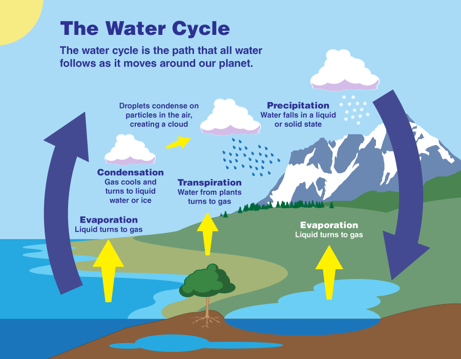 Arrows show the movement of water from the ocean to the air and back to the land.