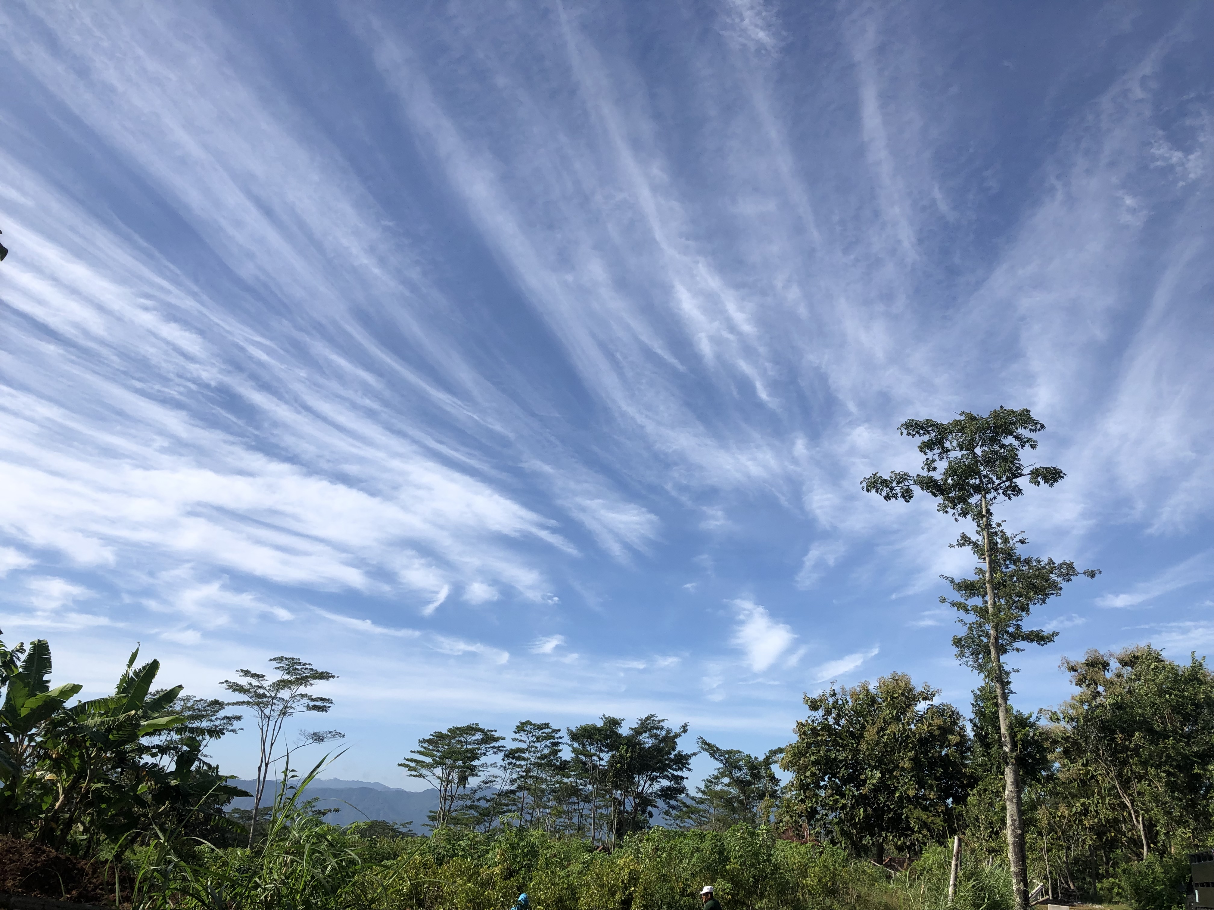White, thin wispy clouds high in the sky.