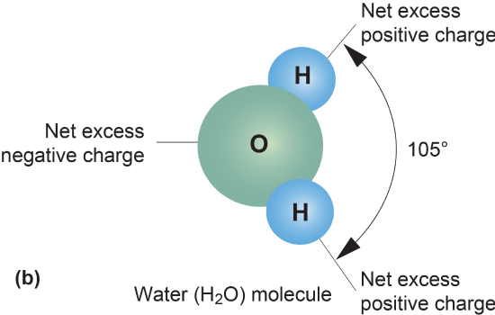 In a water molecule the oxygen carries the positive charge and they hydrogens the negative charges