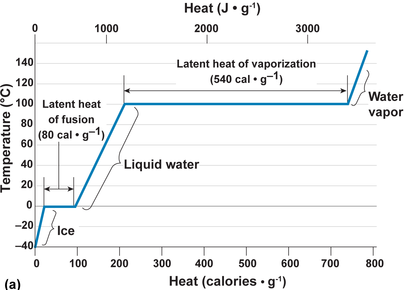 Graph of latent and sensible heating of water
