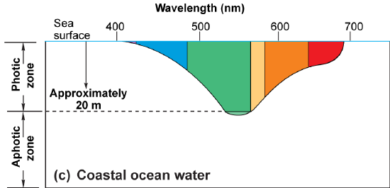 Graph of coastal ocean water with green light at about 545 nm reaching about 20 m