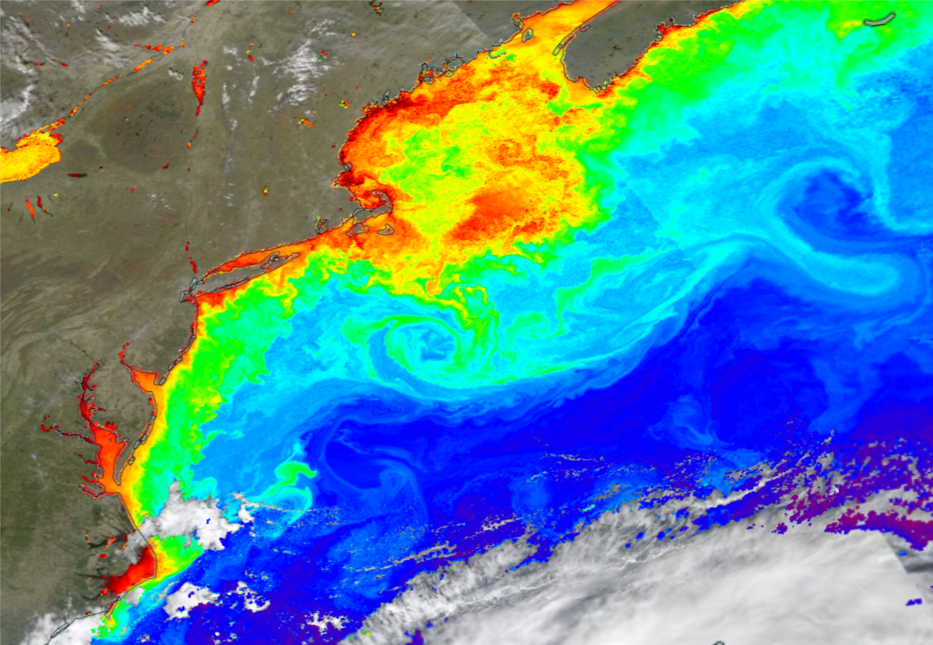 North Atlantic off North America with reds closest to shore, then yellows, then swirls of green and light blue and darker blue