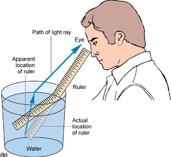 A man looking down a ruler that appears to bend as it enters the water