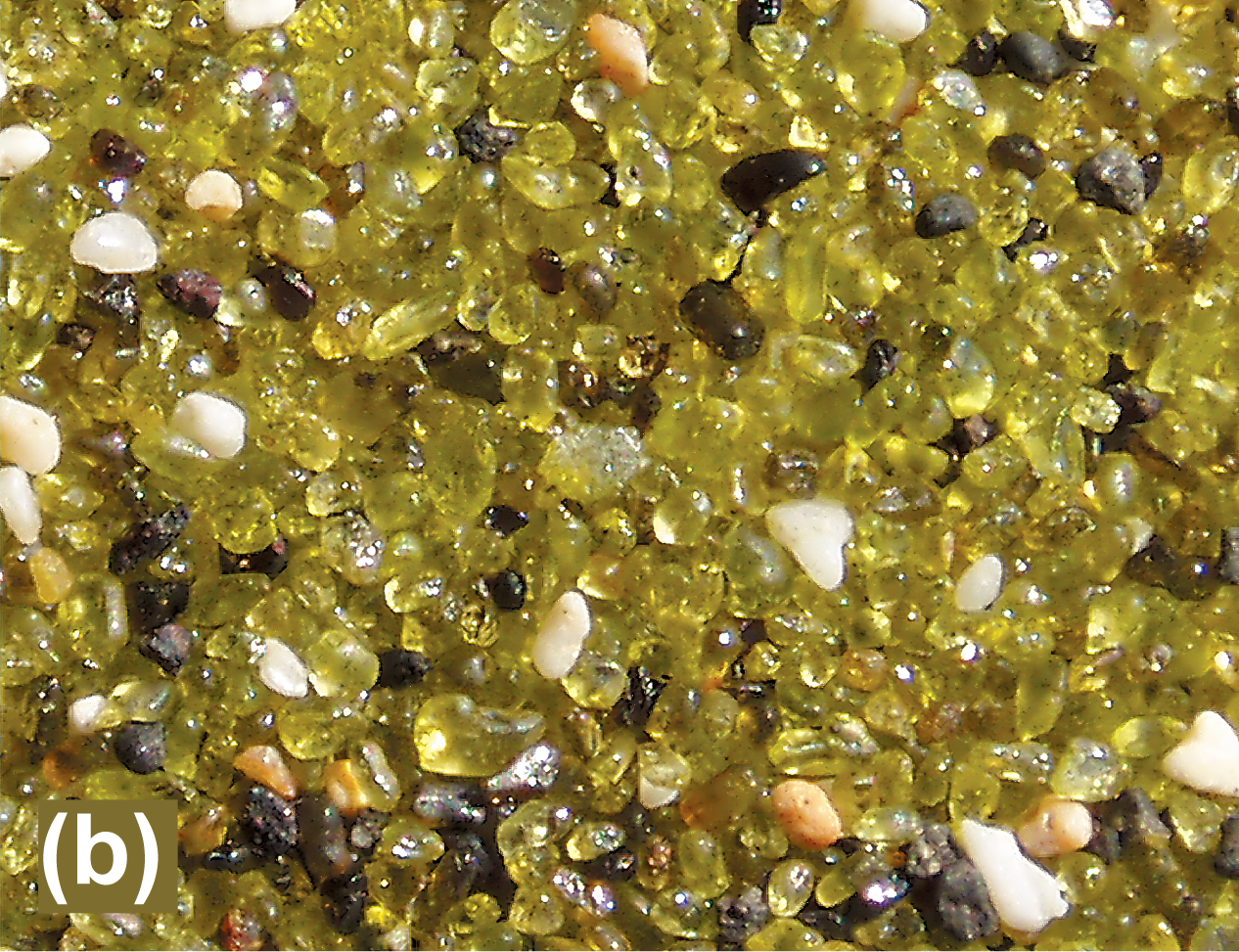 Green yellow grains of sand