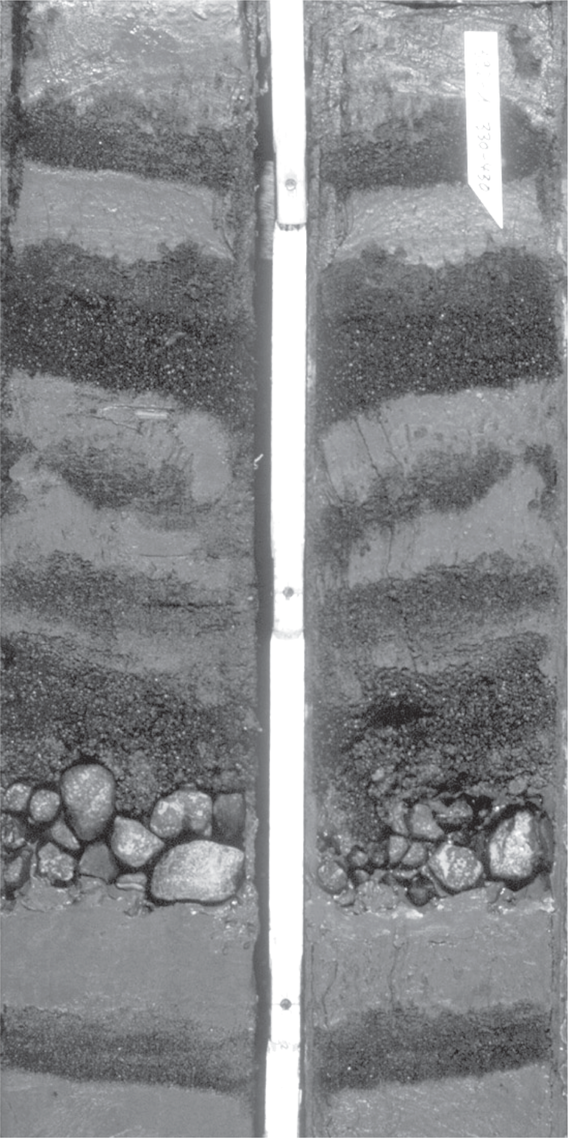 Layers of tubidite