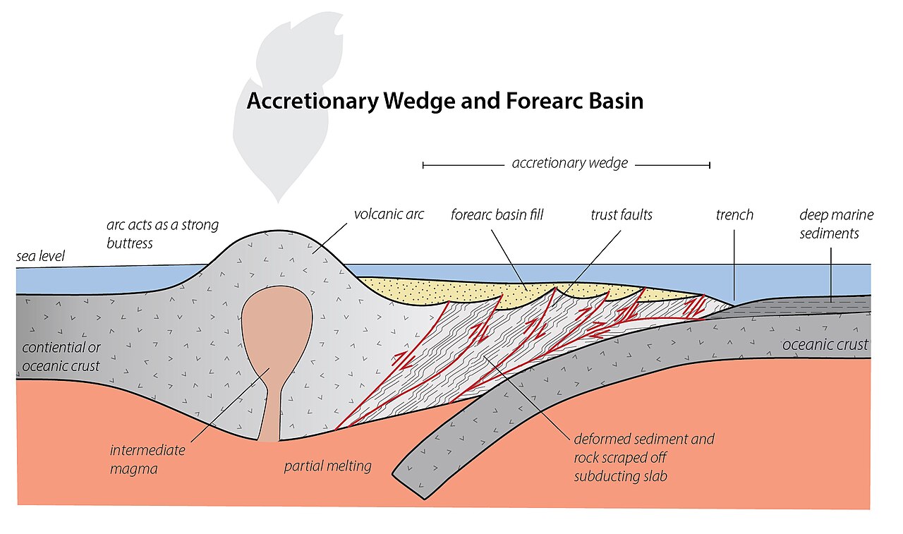 A cross section of an accretionary wedge and forearc basin formed at a convergent margin