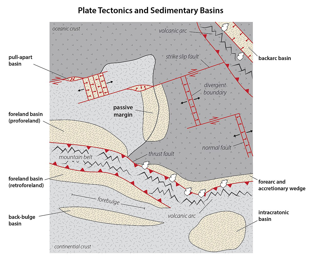 Map showing the relationship between sedimentary basins and plate tectonics