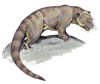 Patriofelis, an example of a credont. 