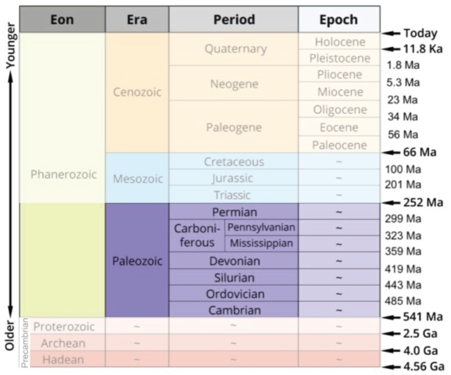 geologic time scale with Paleozoic identified