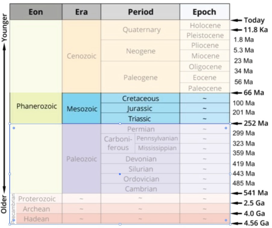 geologic time scale with Mesozoic identified