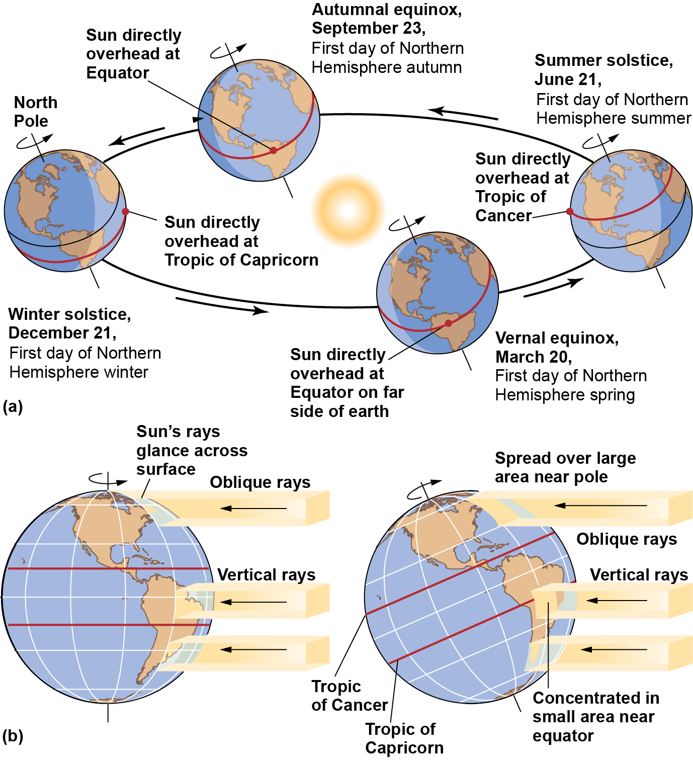 Diagram of the the Earth around the sun at the equinoxes and solstices