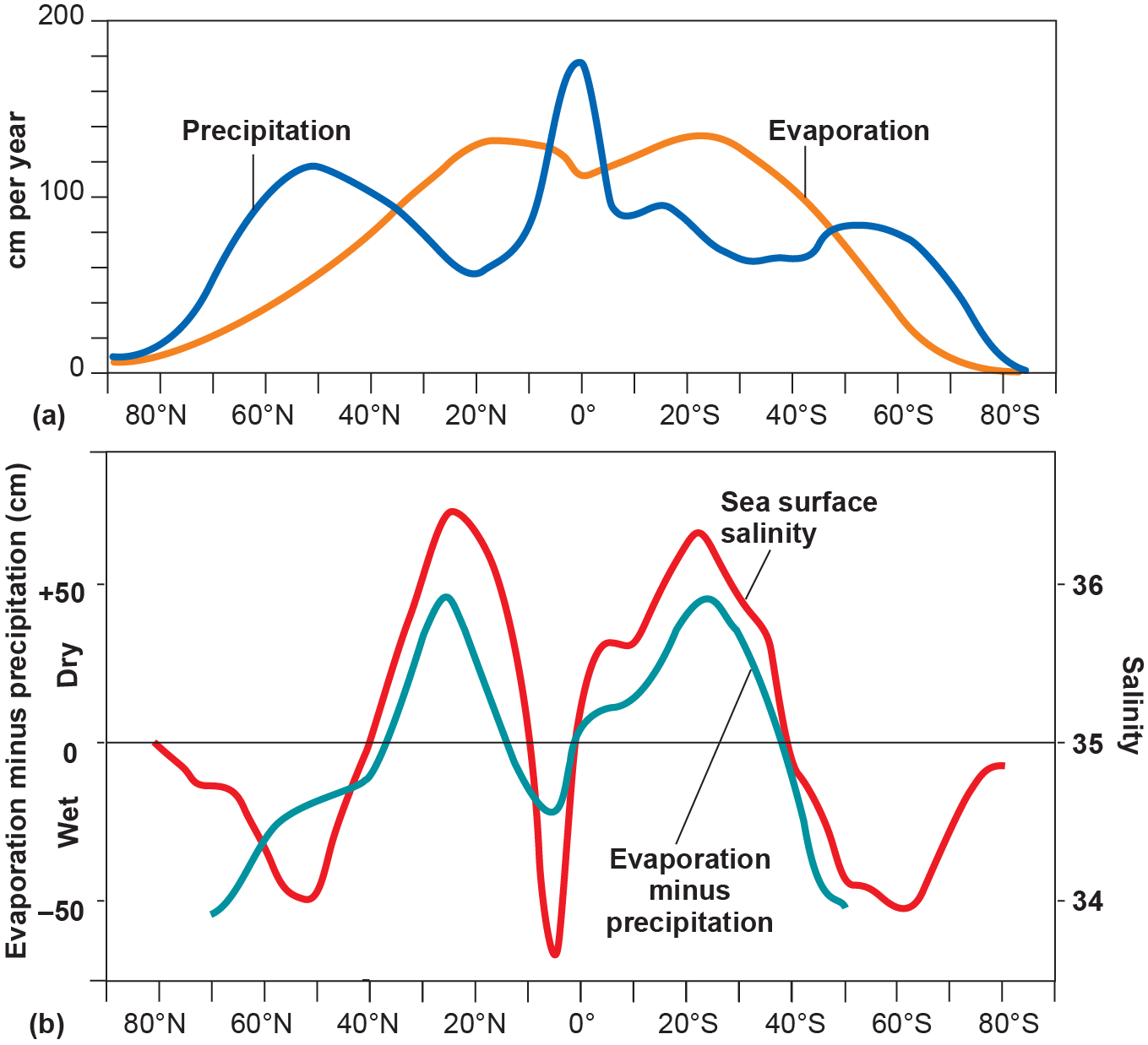 Graph of precipitation and evaporation by latitude