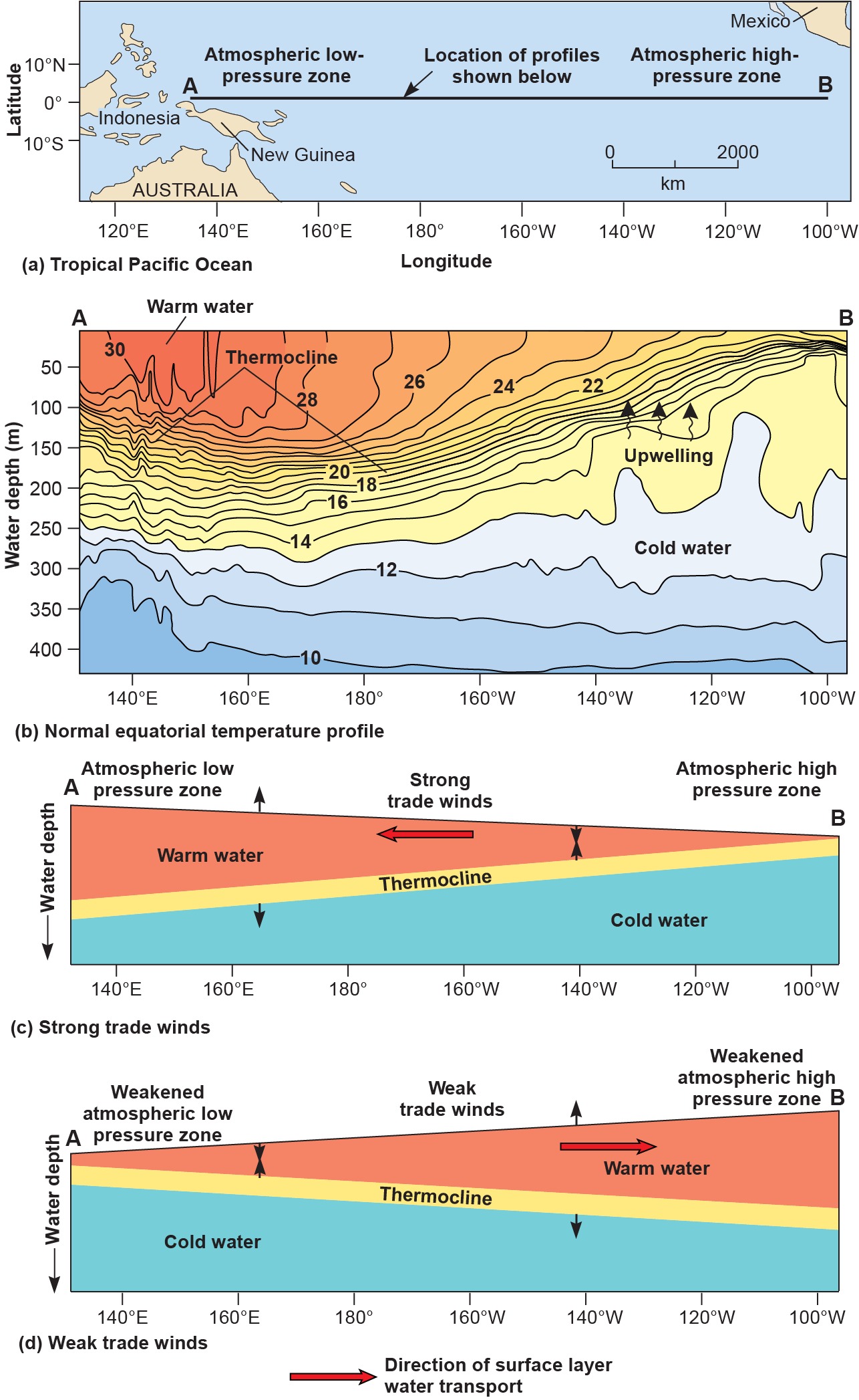 Map of the tropical Pacific