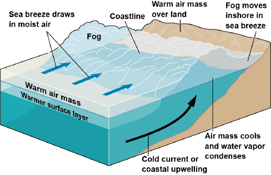Diagram of fog, from the warm air mass over the warmer surface layer, blowing onshore