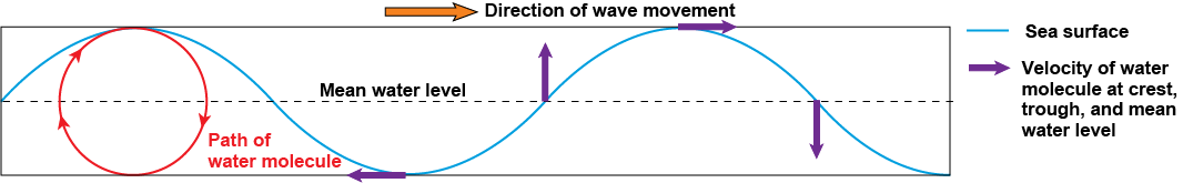 Path of a water molecule, which is vertically circular, while the wave moves forward