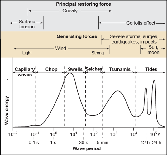 Principal restoring forces and generating forces and how they after the wave energy and wave period