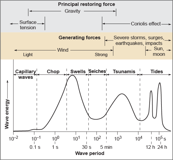 Principal restoring forces and generating forces and how they after the wave energy and wave period