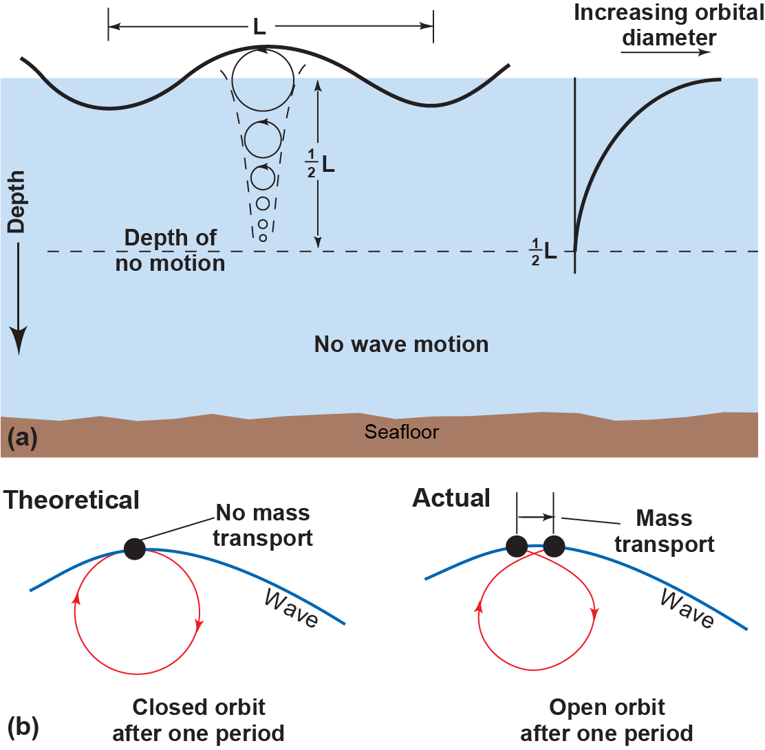 The vertical circular motion of wave decreases with depth