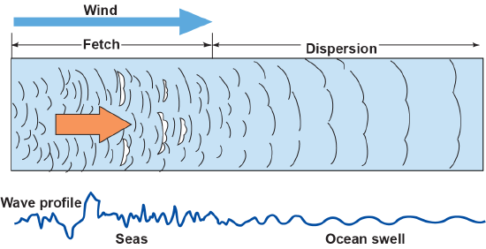 Wind causing fetch that makes for a complicated wave profile, which simplifies into ocean swell