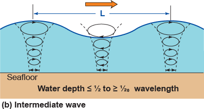 Intermediate waves reach the seafloor and circular movement becomes obliquical