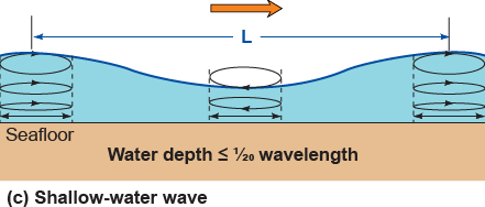 Shallow water waves have nearly flat vertical movement