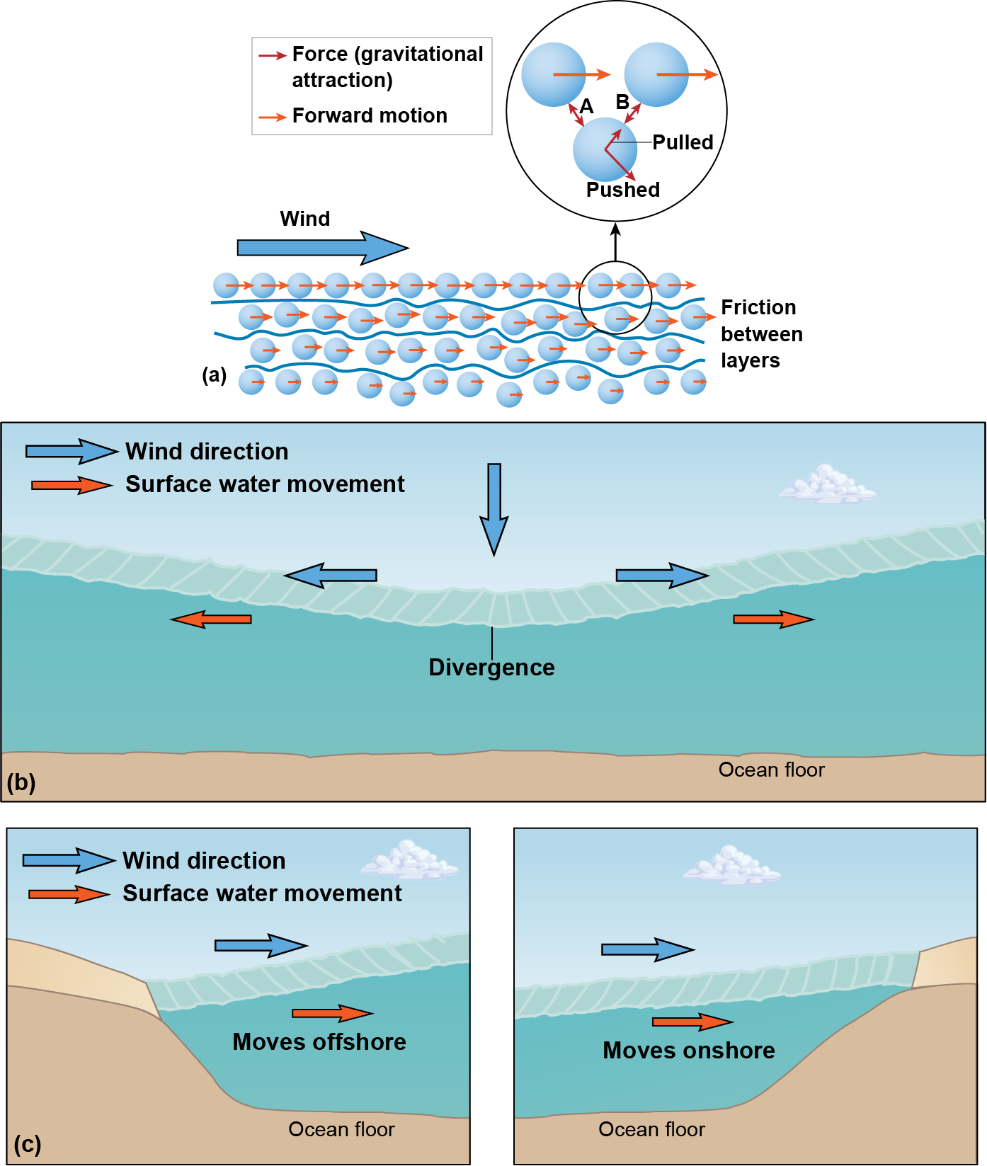 Water molecules pushed by the wind and interacting with gravitation attraction