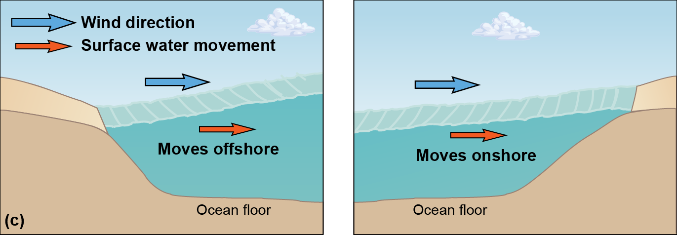 wind pushing water away from the shore and wind pushing water onto shore