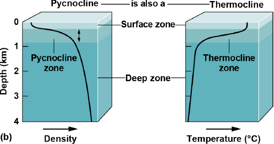 Two graphs comparing the pycnocline and thermocline inverse of each other