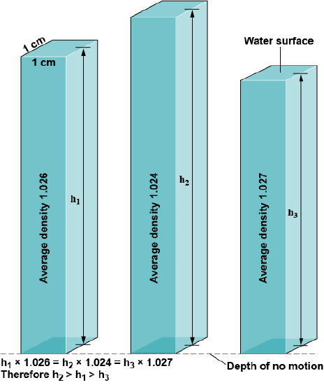 Water column of 1 cm by 1 cm water, with the highest density having the lowest high and the lowest density having the highest height