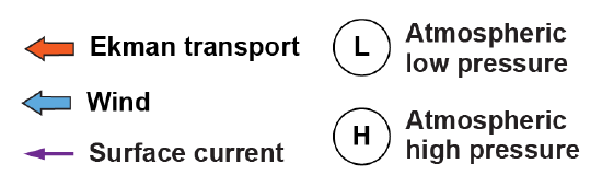 Key for previous images with orange arrows for Ekman transport, blue arrows for wind and purple arrows for surface currents, while L is for low and H is for high pressure