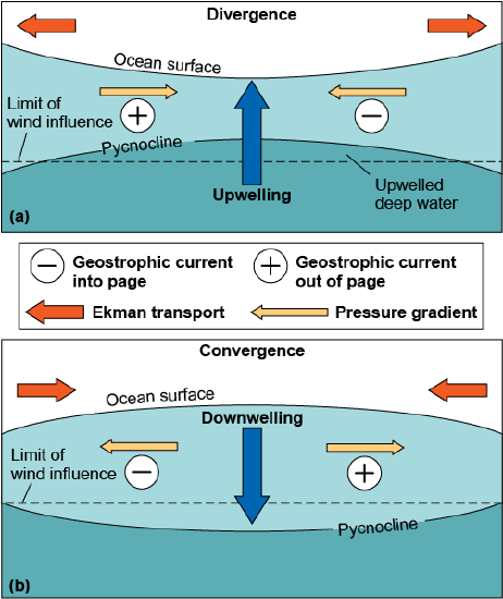 Diagrams comparing divergence and upwelling to convergence and downwelling