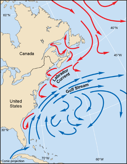Labrador Current flowing southwest and Gulf Stream flowing northeast in the Atlantic
